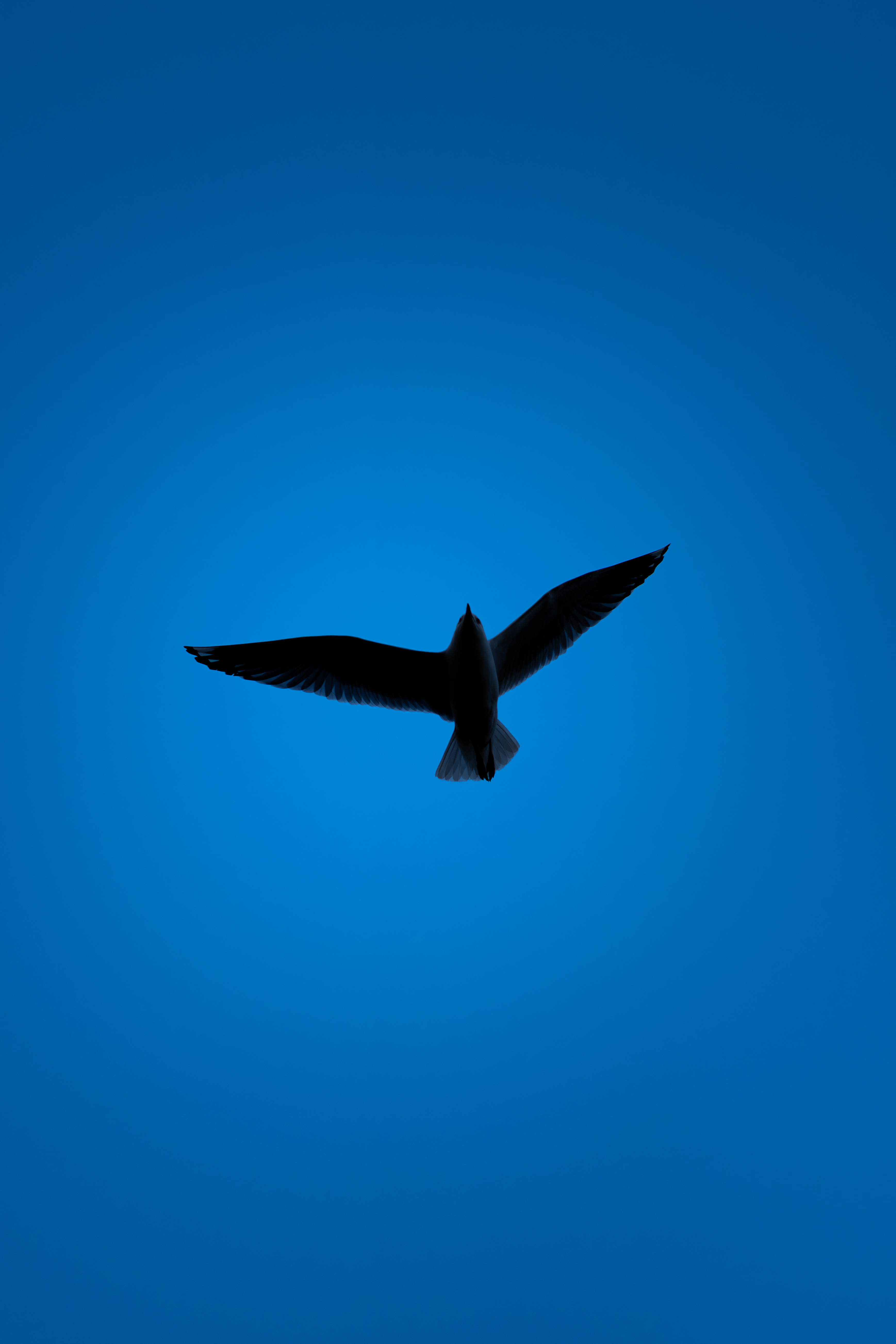 Fine art prints thumbnail