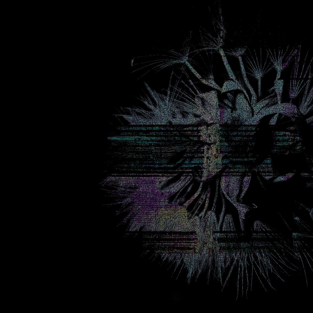 Relato de marca sin disfraz thumbnail