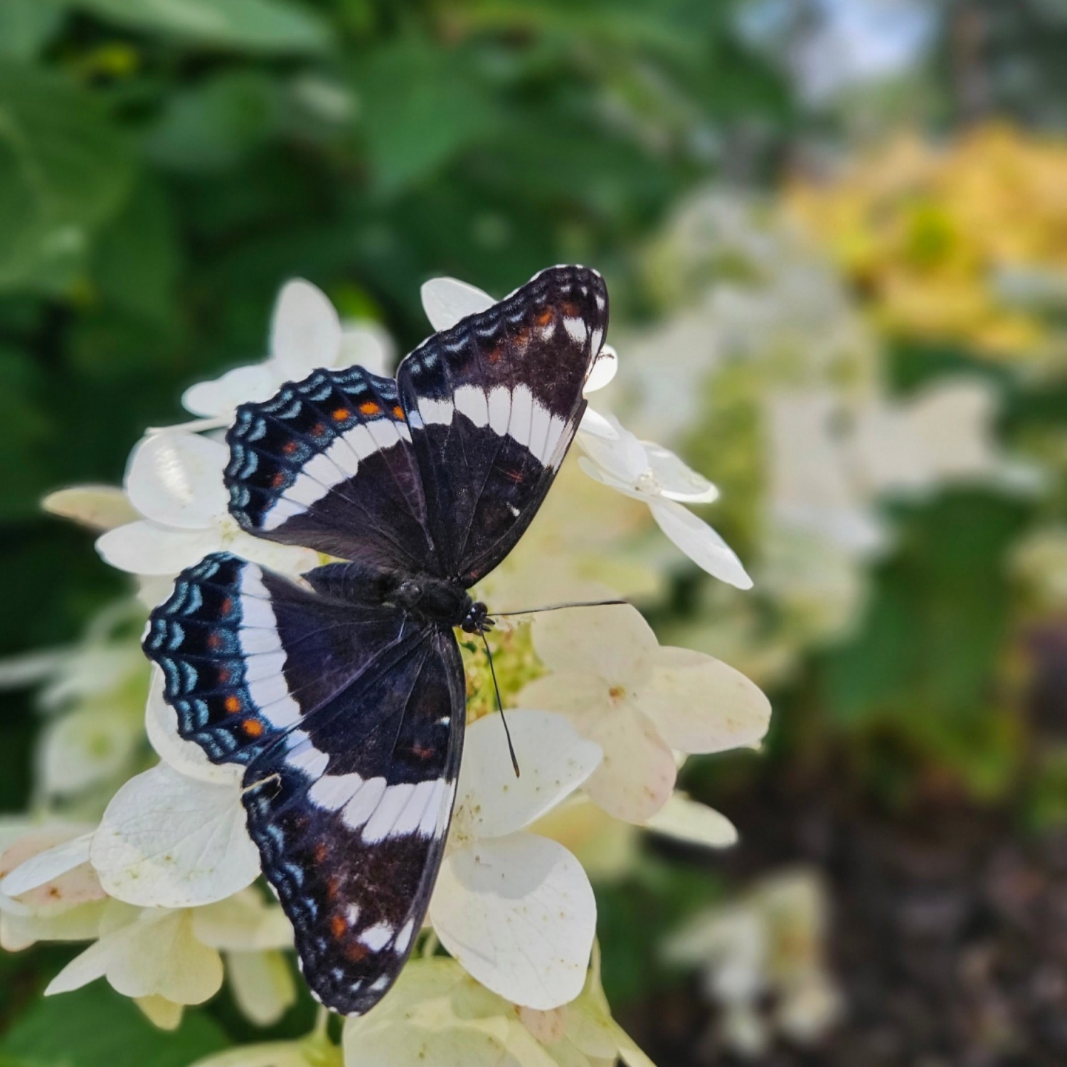 Leave a Review thumbnail