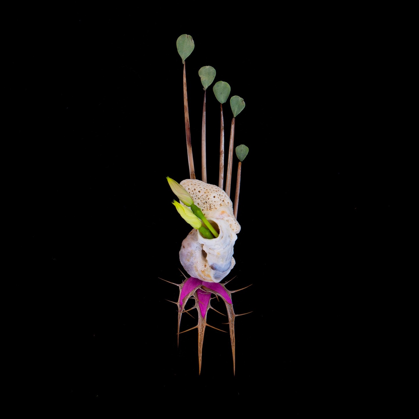 Выйсце | Exit
Куды ісці, каб выйсці? Зноў да цябе? Не, ня пойдзеш, бо ўжо хадзіў і зайшоў у шалёную спутанасць, якая пр