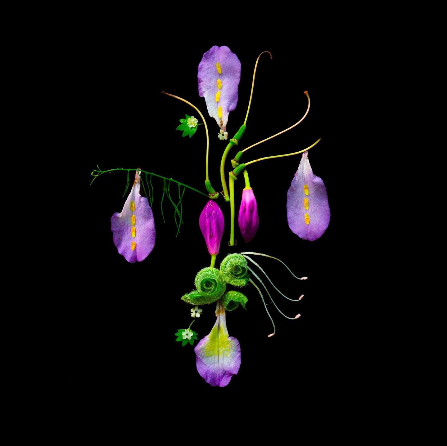 Рефлективное равновесие | Reflective equilibrium
2022
Бывает, приходишь в точку, когда слышишь, что то, что считал прав