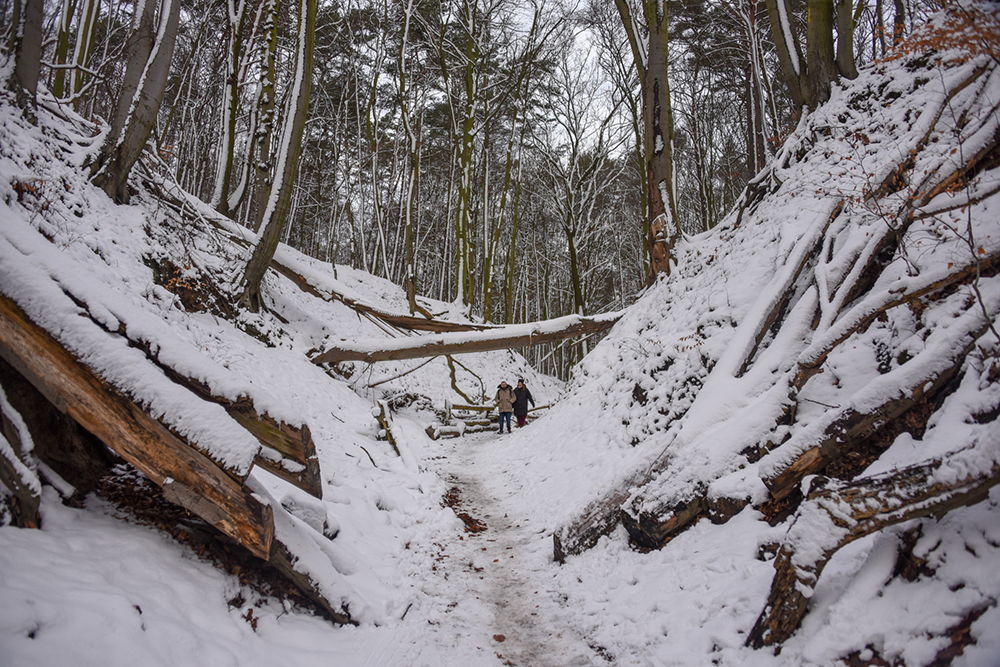 Диалог с Милой Коткой: Каменный плот thumbnail