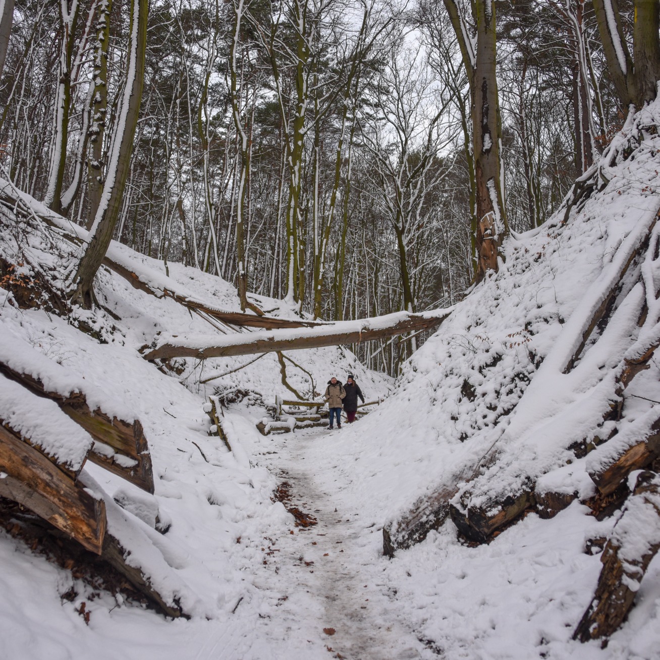 View from the Street / Диалог с Милой Коткой: Каменный плот thumbnail