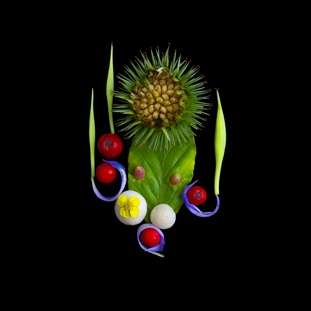 «Нужно было замедлить жизнь до уровня растения» thumbnail