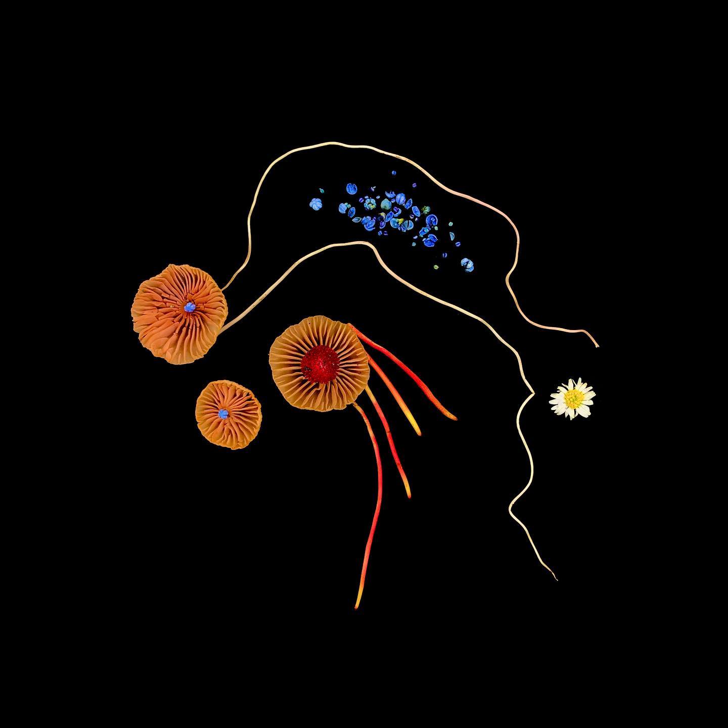 Распад | Dissolution
Между бесконечными перемещениями путешественников во времени попалось одно место, где один стал р