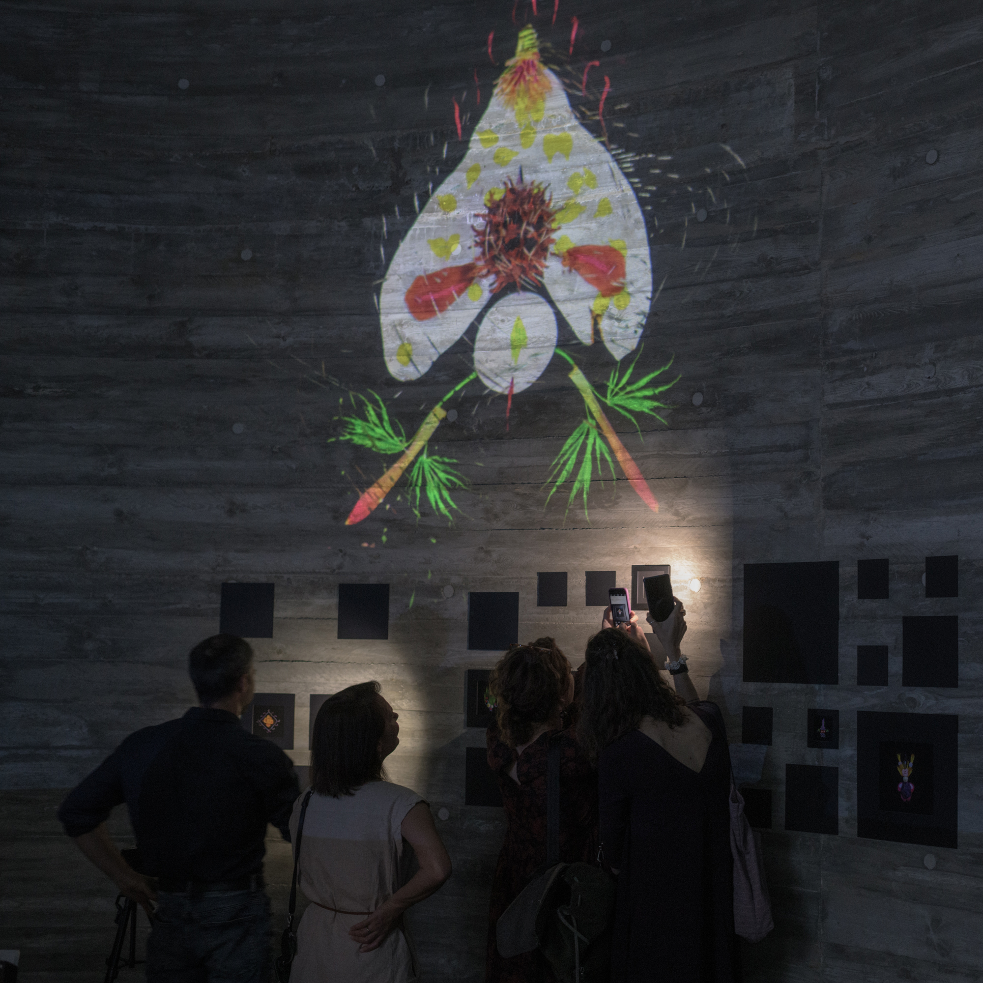 Mila Kotka and her bio-art hieroglyphs thumbnail