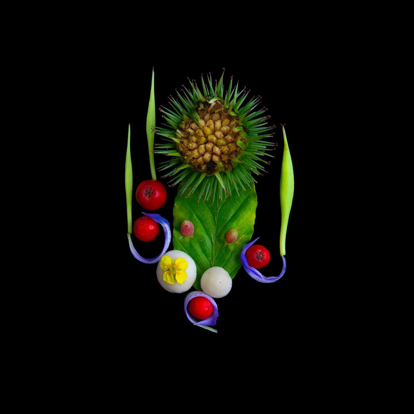 Кінжалы рэальнасці | Reality Daggers
Калючыя і непрыступныя, у галаве толькі і думкі як адбіць знешнія атакі, бо востры