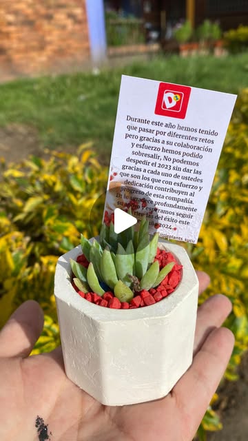 500 recordatorios para D1 thumbnail