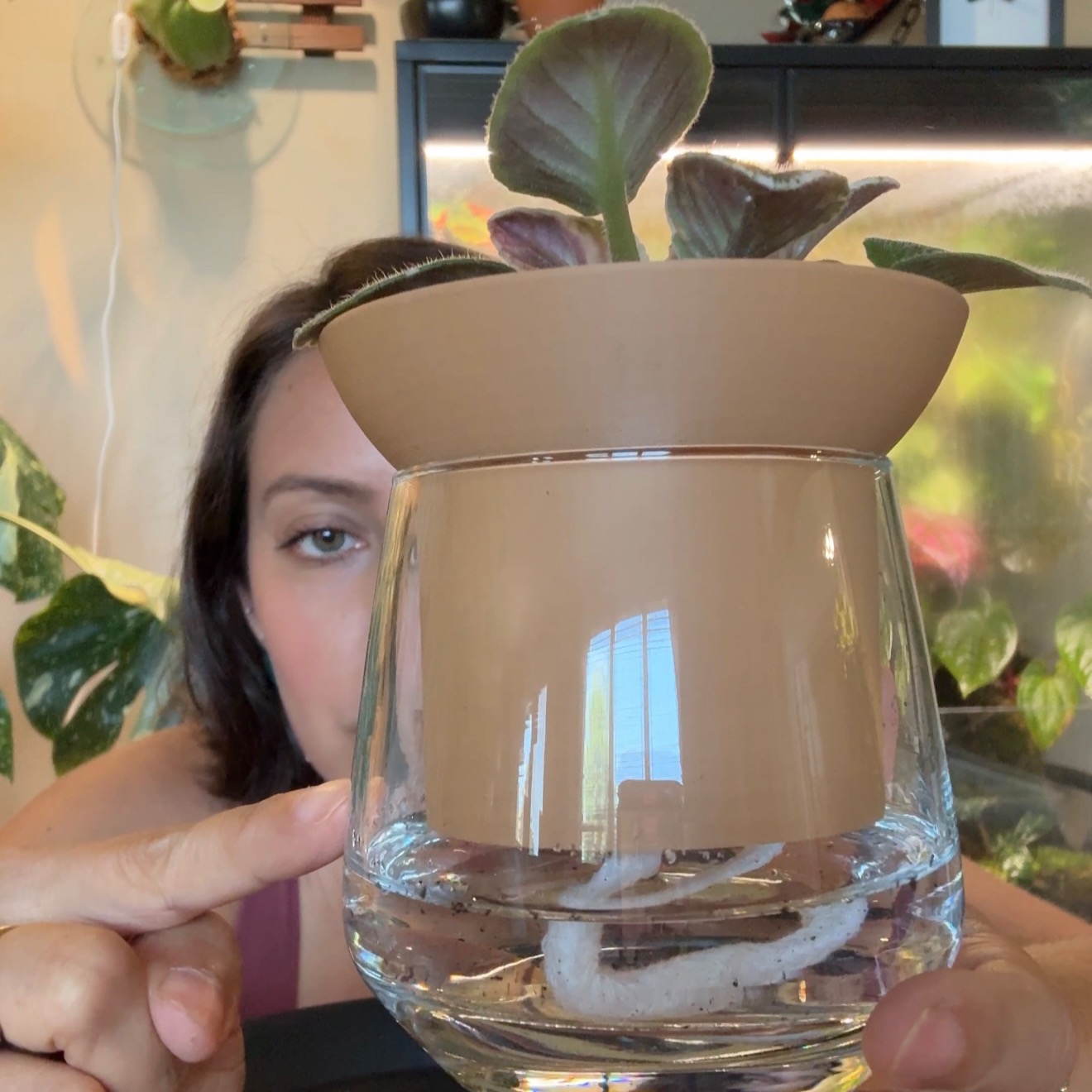 Self watering colorful pots thumbnail