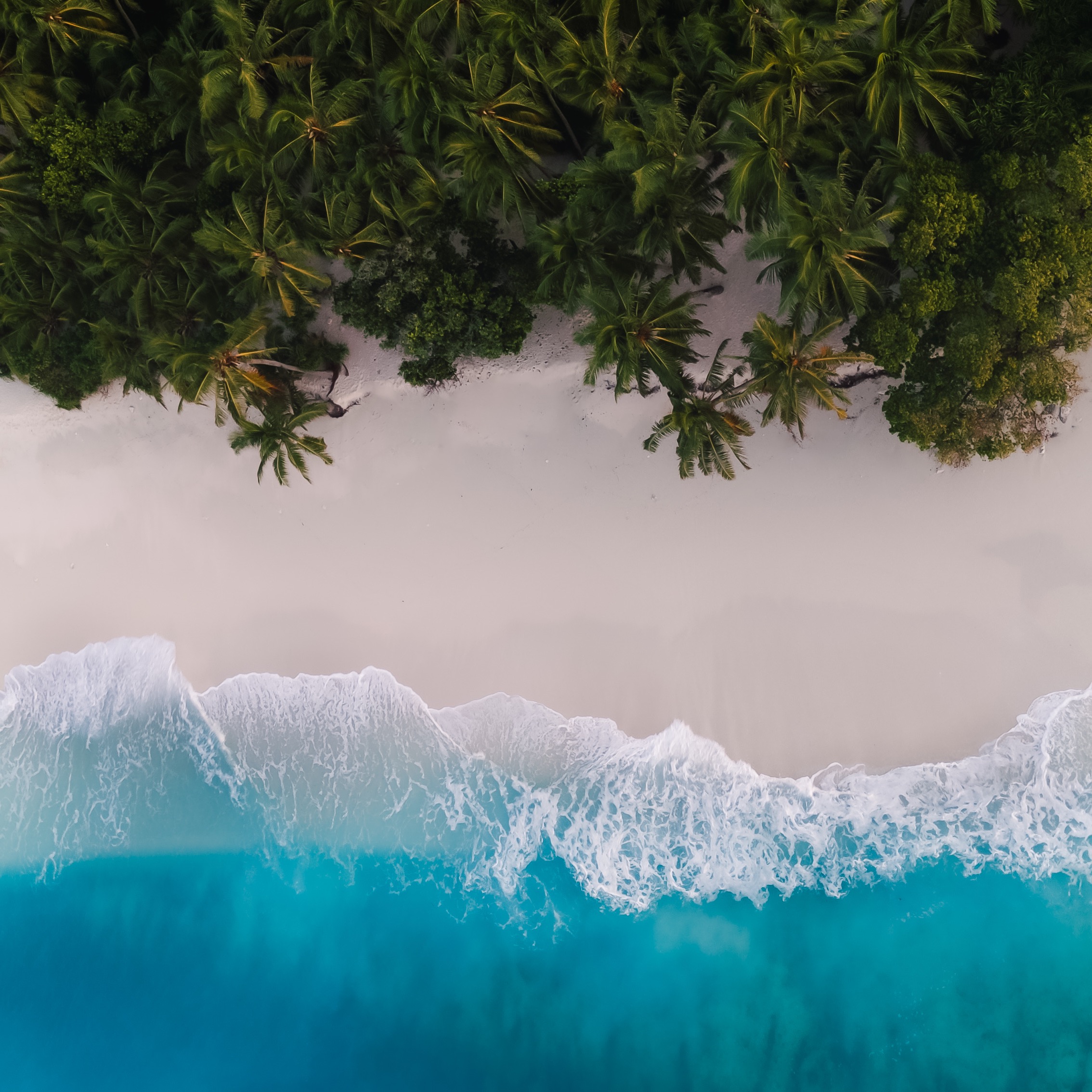 Itinerarios personalizados thumbnail