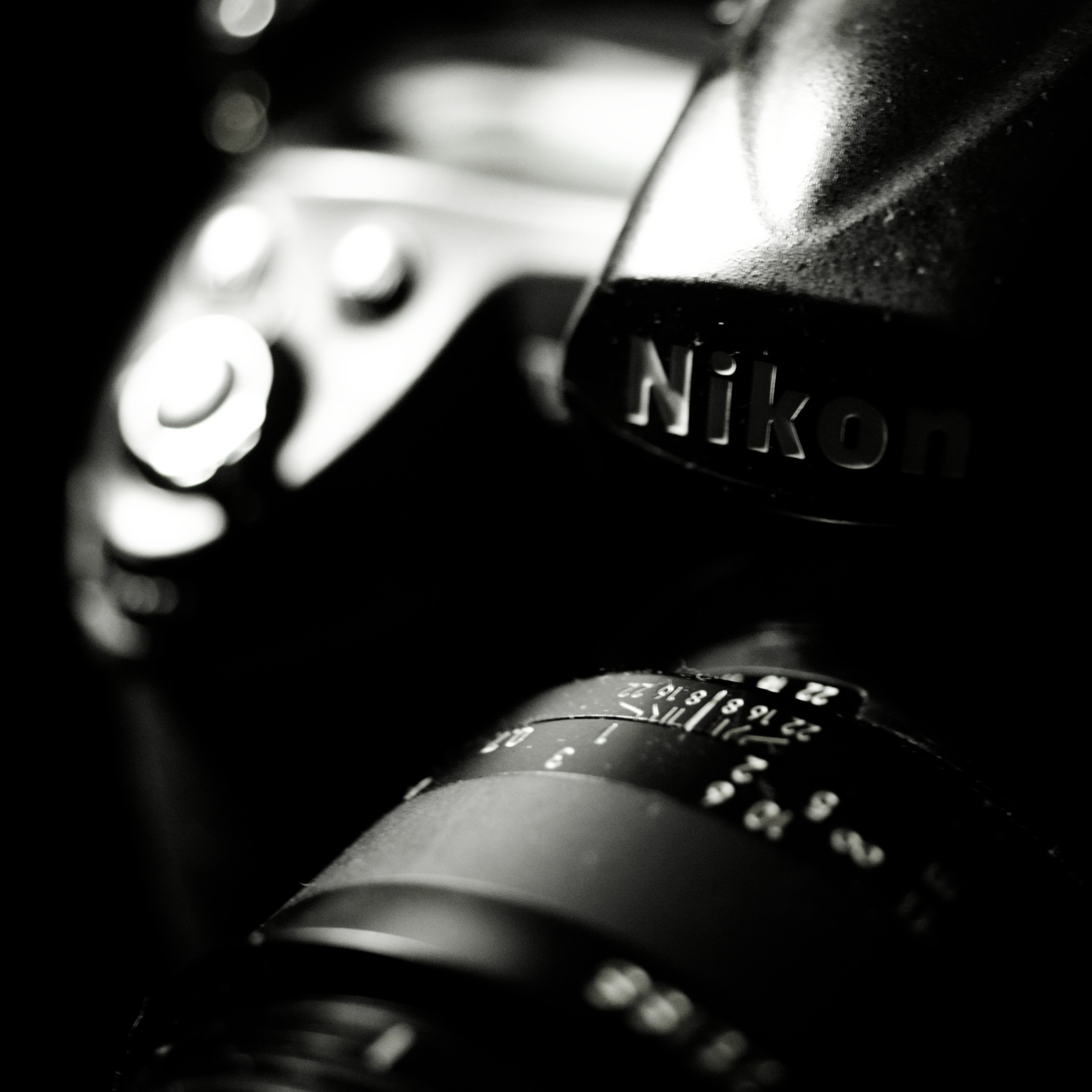 Vintage Nikon D3 ~ Photo Examples & Thoughts thumbnail
