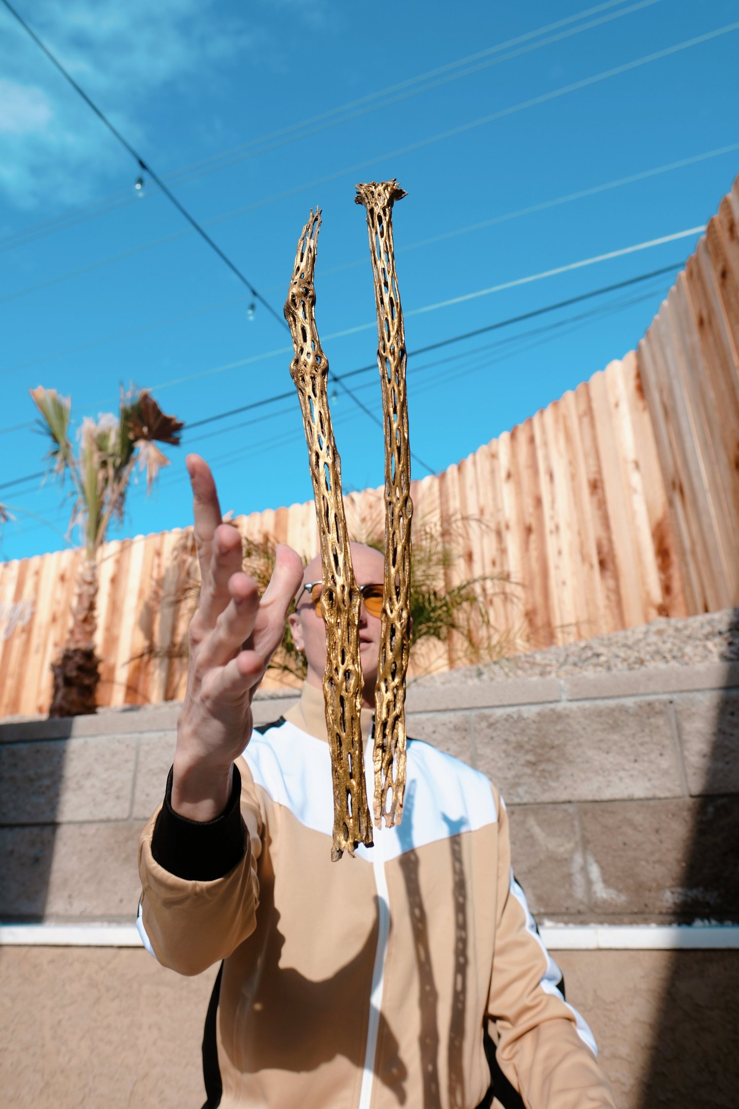 The Banish Branch™ - Preorder thumbnail