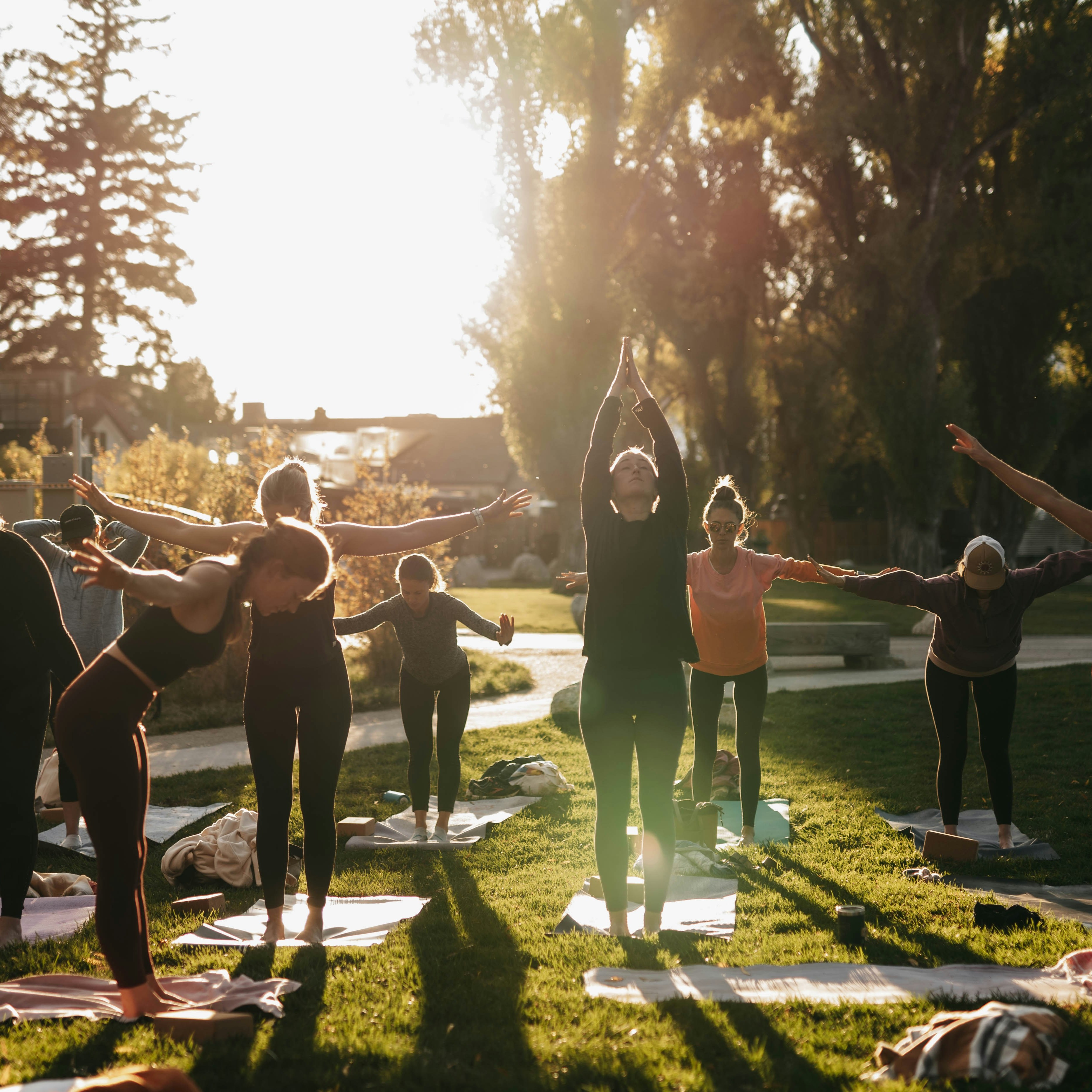 Sound Healing + Somatic Integration for your next retreat.  Let’s Connect!  thumbnail