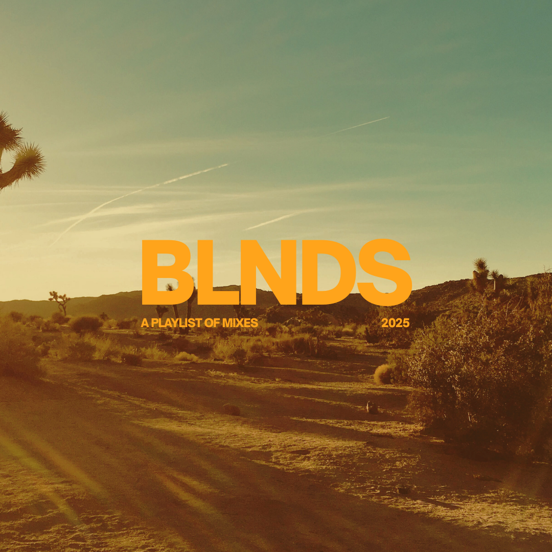 BLNDS:2025 thumbnail