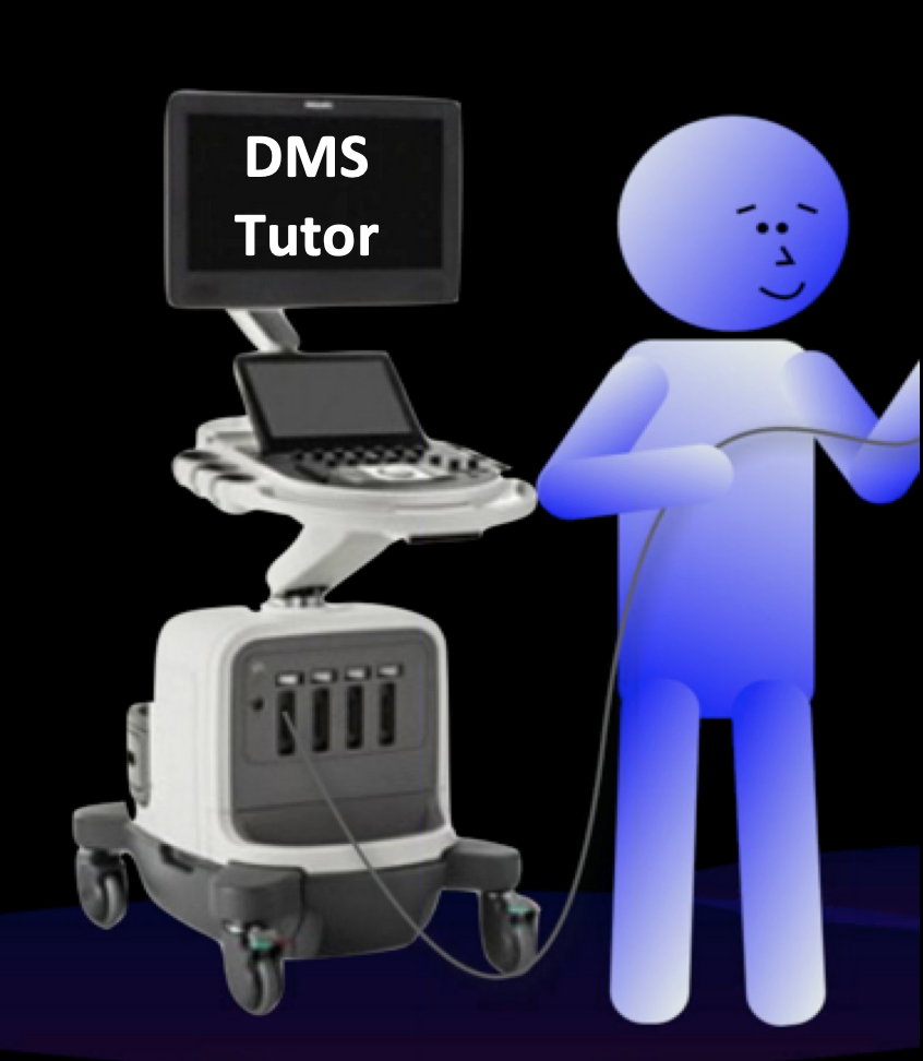 DMS  Online Tutor Platform  thumbnail