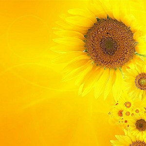 Start Digital para Iniciantes - Aprenda a vender produtos físicos e digitais do zero thumbnail