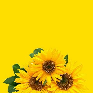 Narrativas 2.0 - Seus stories vendendo no automático  thumbnail