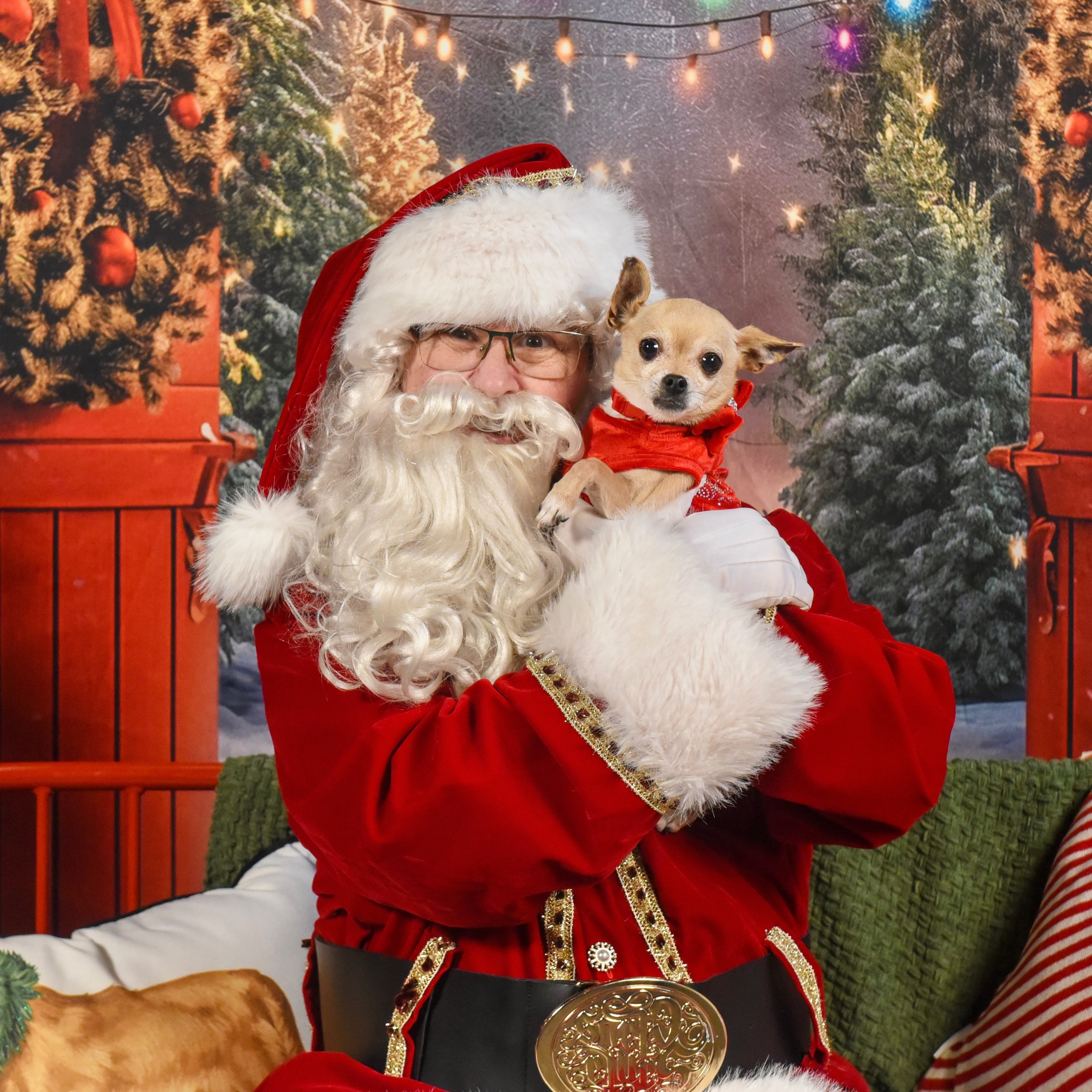 Santa Paws Photos thumbnail