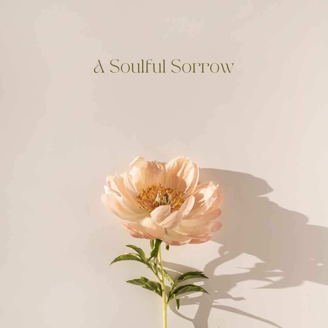 A Soulful Sorrow Website thumbnail