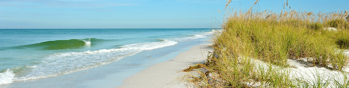 BioSite banner for @Seaside