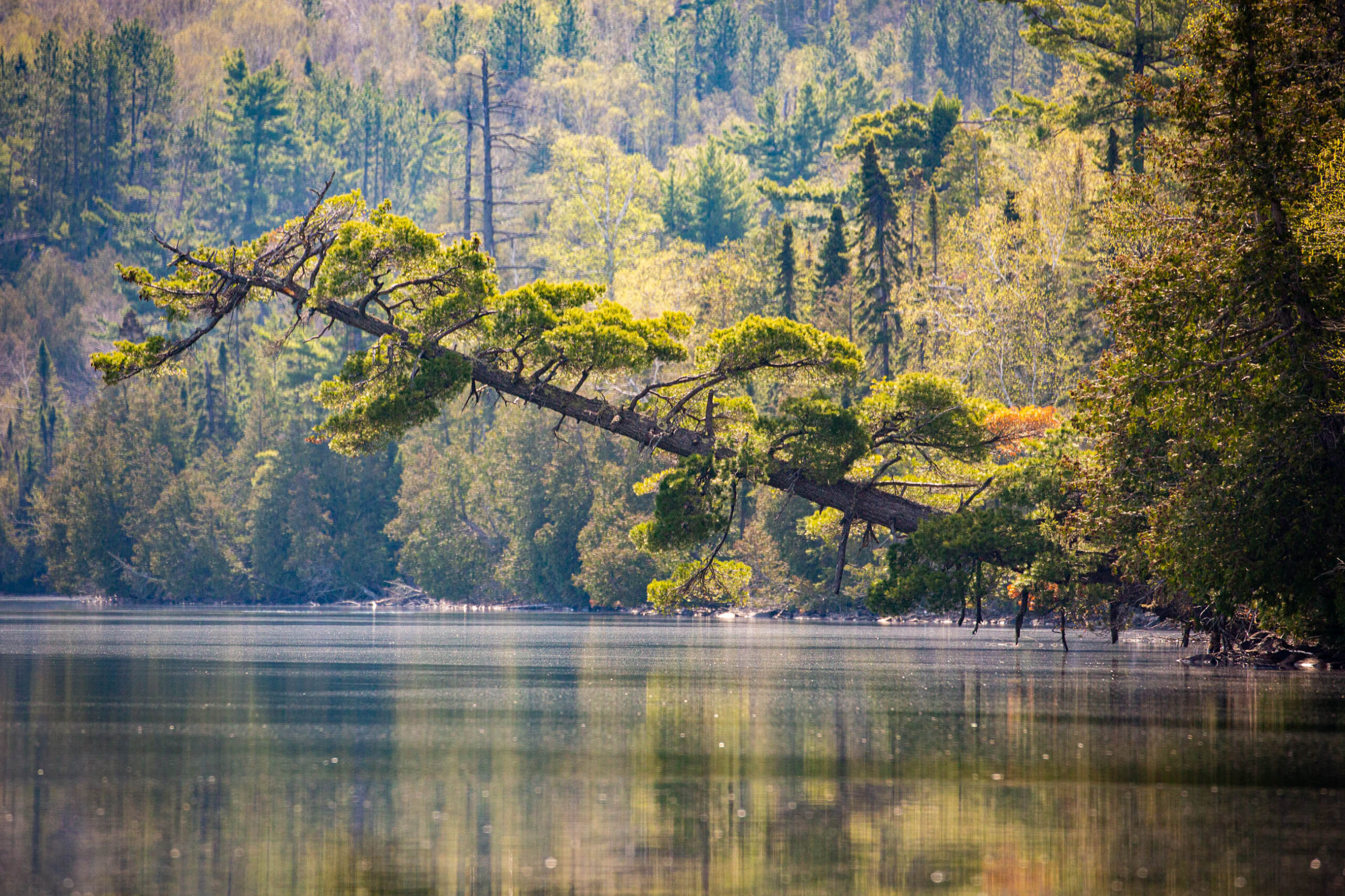 Take Action: Boundary Waters thumbnail