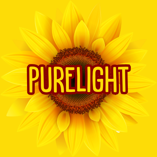 Portfolio  thumbnail