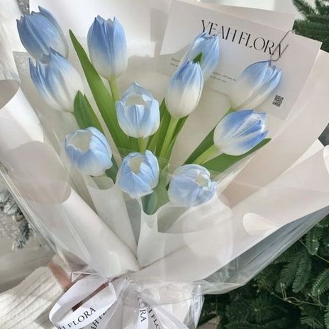 My Blog ☁️🐋 thumbnail