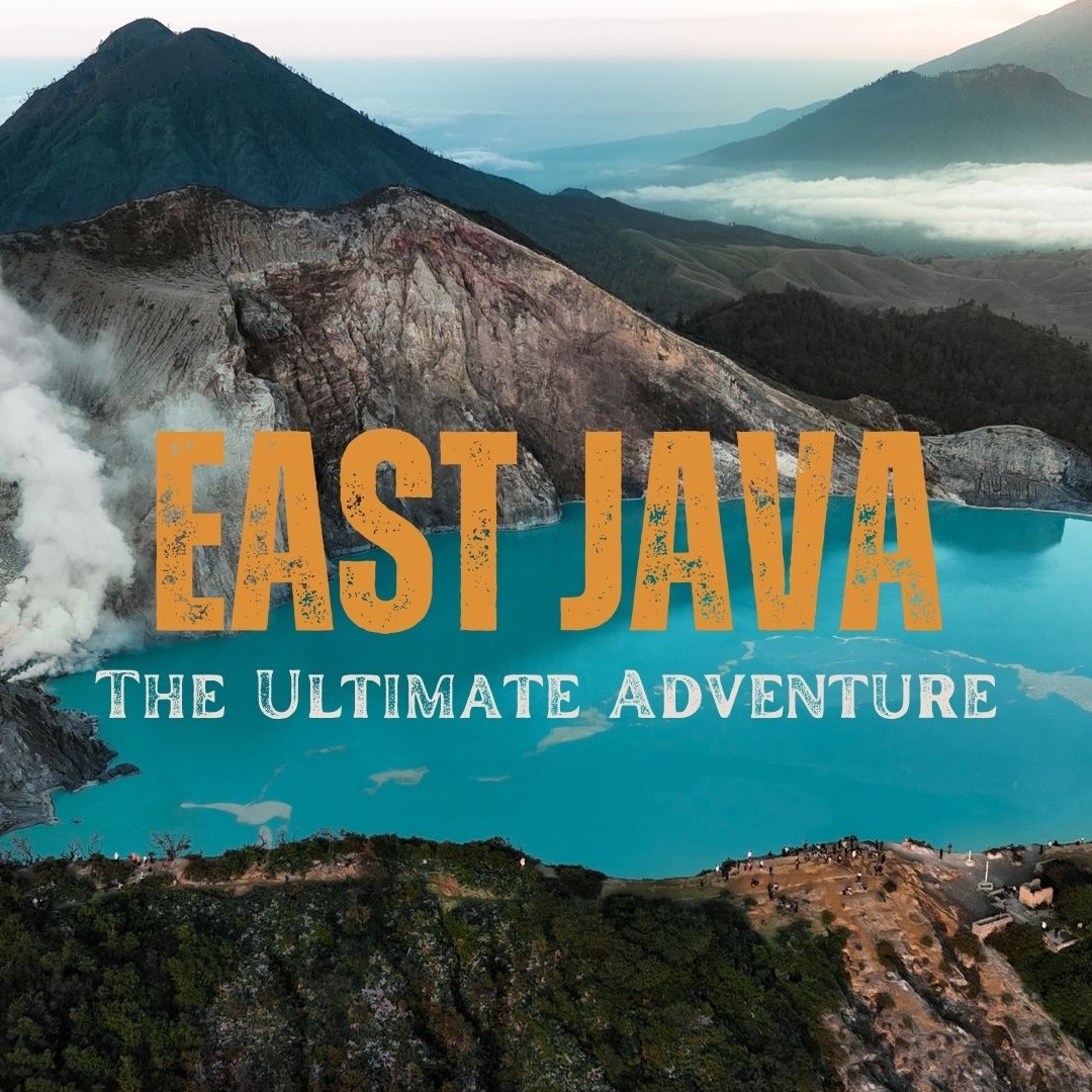 MY LATEST FILM thumbnail