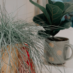 Etre accompagne dans une transition green atelier| conference thumbnail