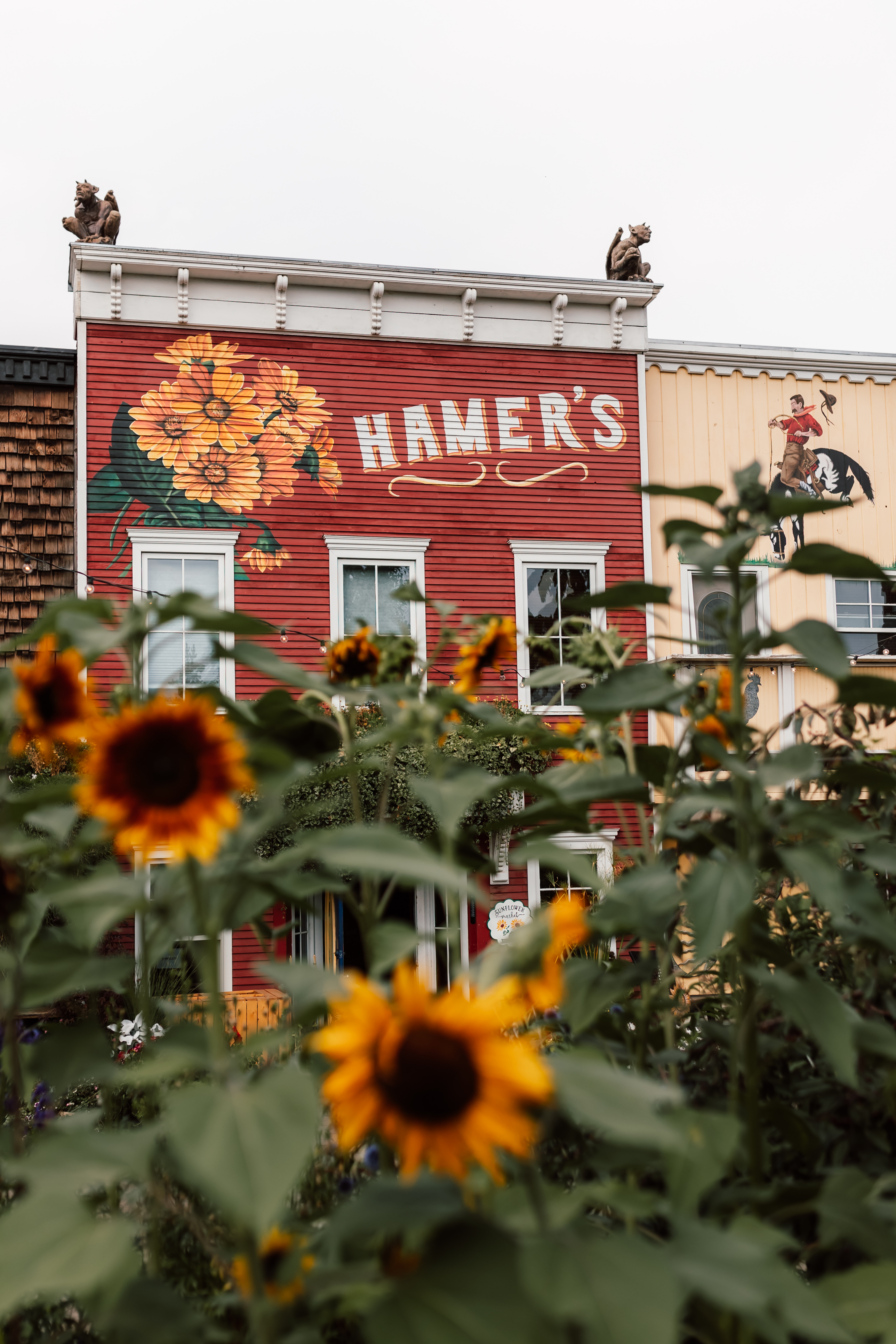 Saskatoon Farm Website thumbnail