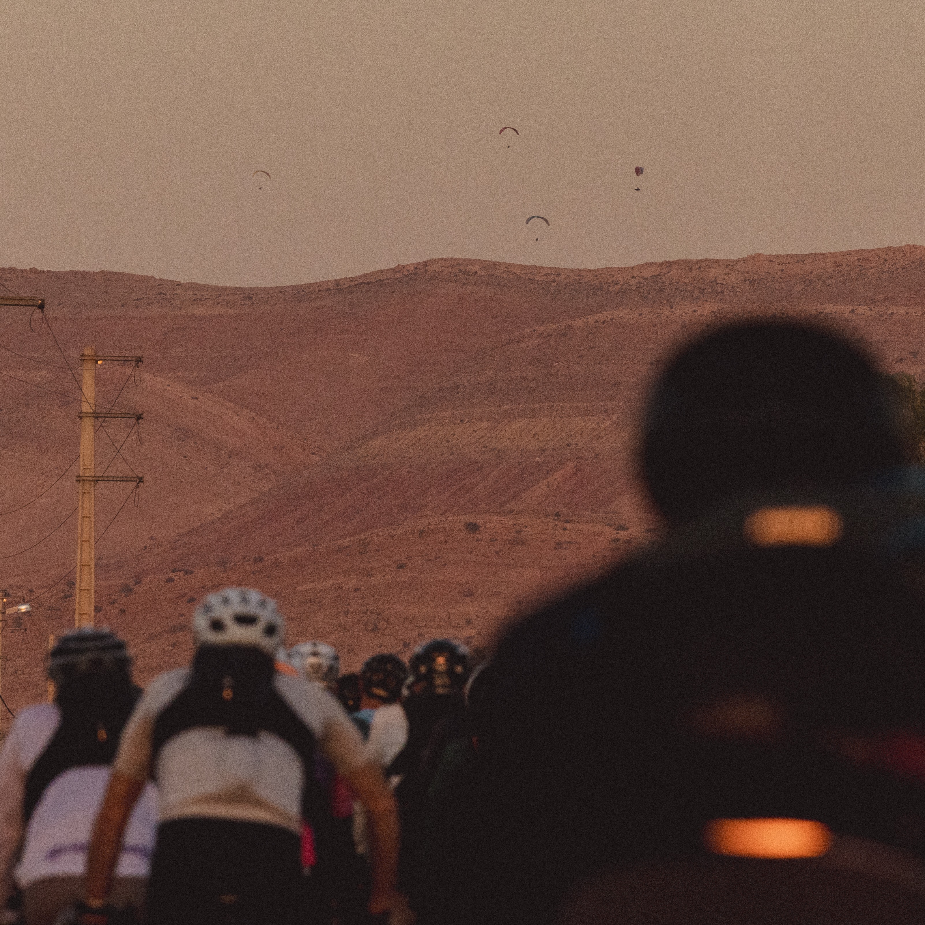 Dotwatch AMR 2026 thumbnail