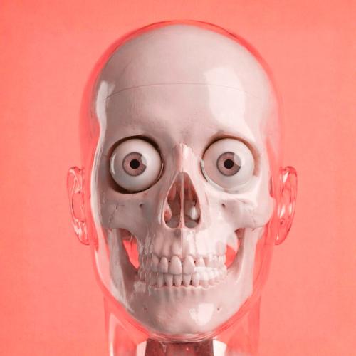 Socrátes Bizarro thumbnail