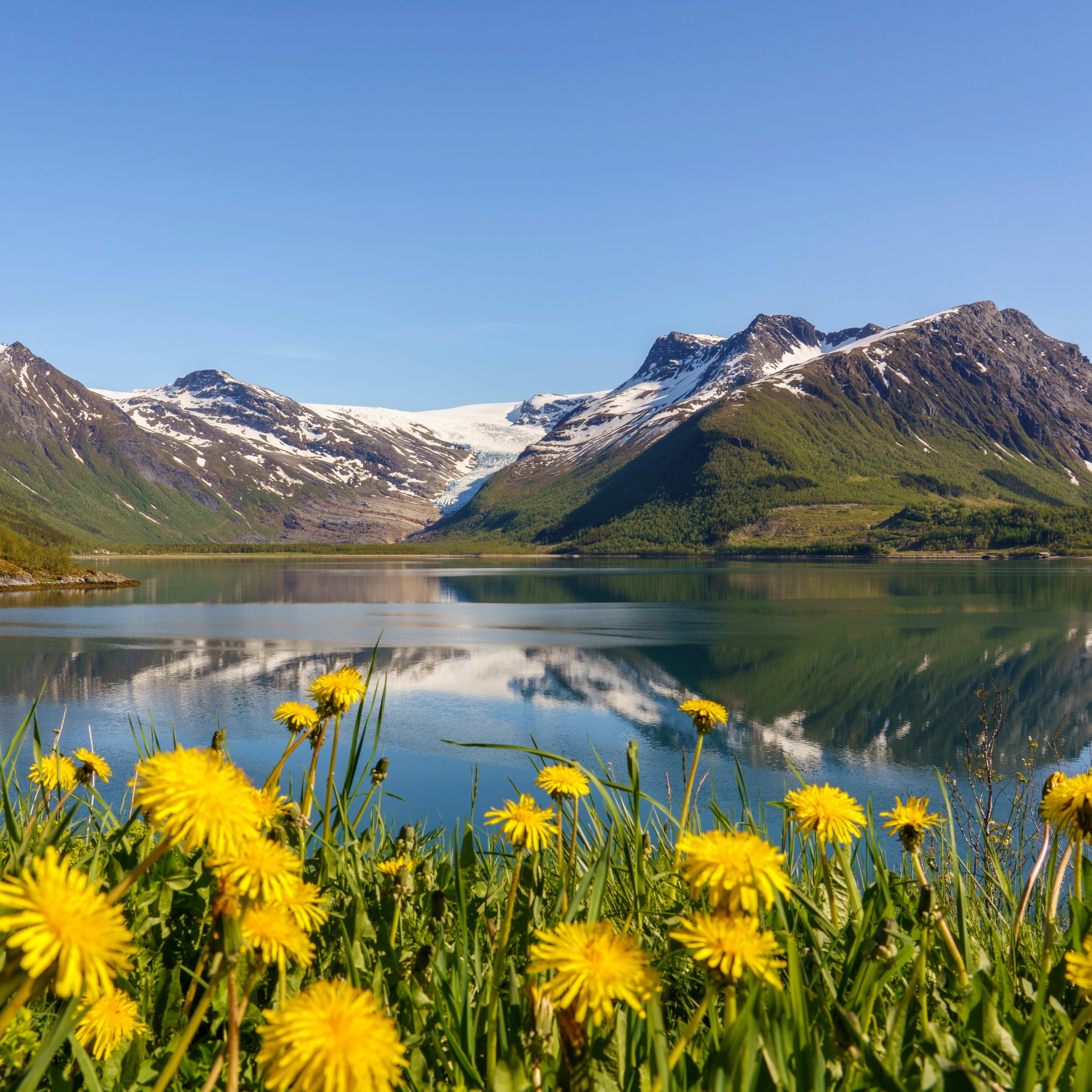 YOGA ET  RANDONNÉE SUISSE ∙  Juin 2026 thumbnail