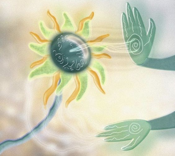 • Reiki (italiano e portuguese) thumbnail