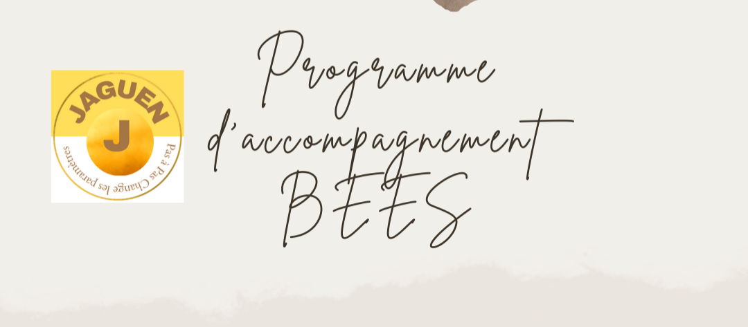 Accompagnement B.E.E.S thumbnail