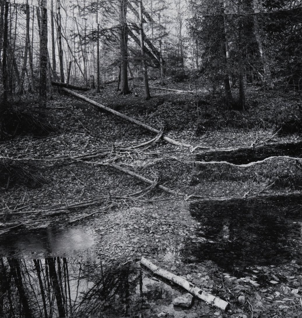 Interview: Terri Warpinski - Exploring Landscape, Memory, and Borders Through Photography thumbnail