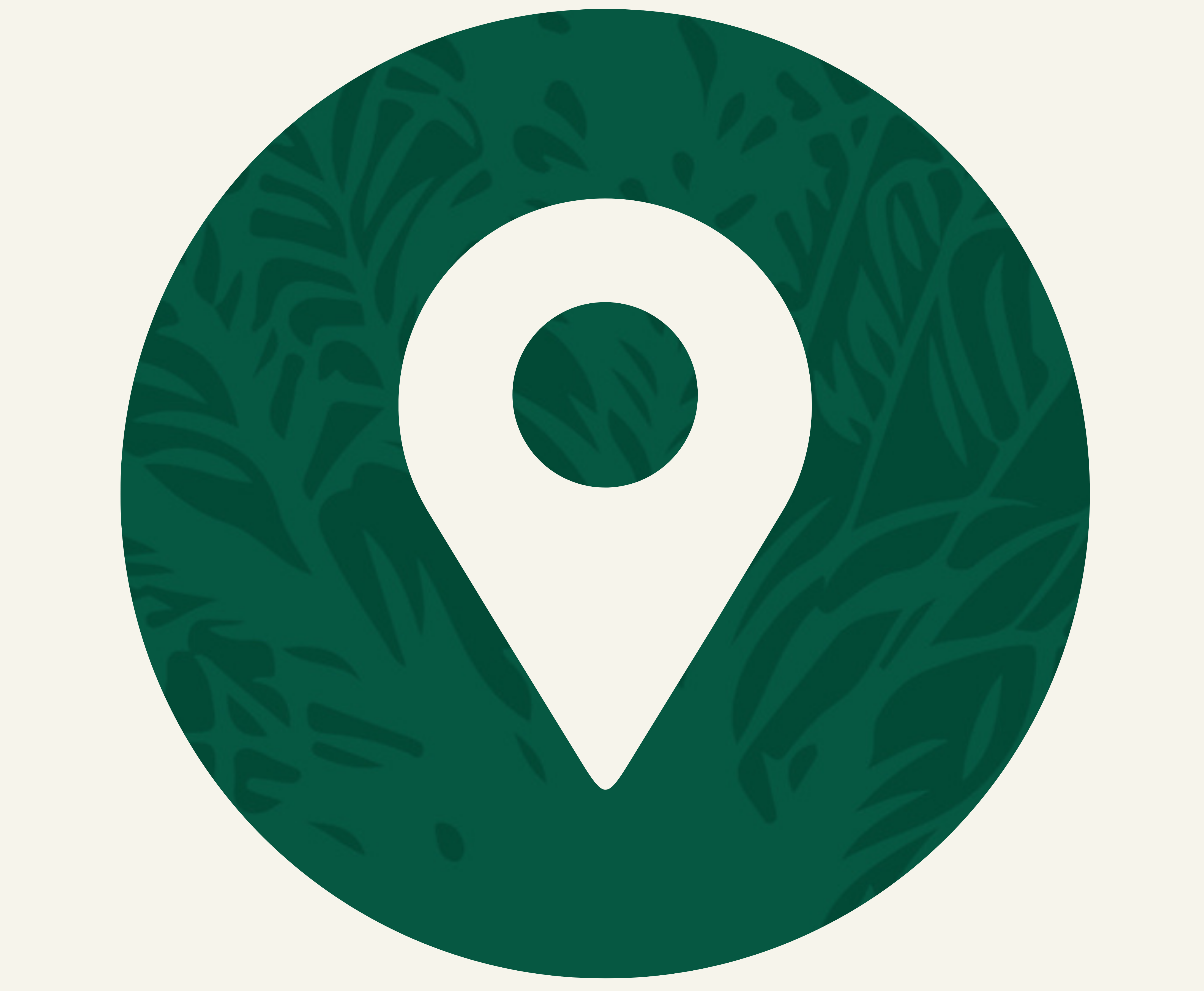 فرع المدينة المنورة  thumbnail