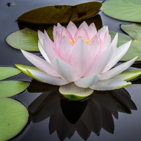 Encuentra Energía 🤩 y Descanso 😴 thumbnail