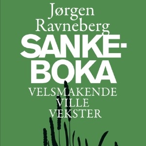 Sankeboka thumbnail