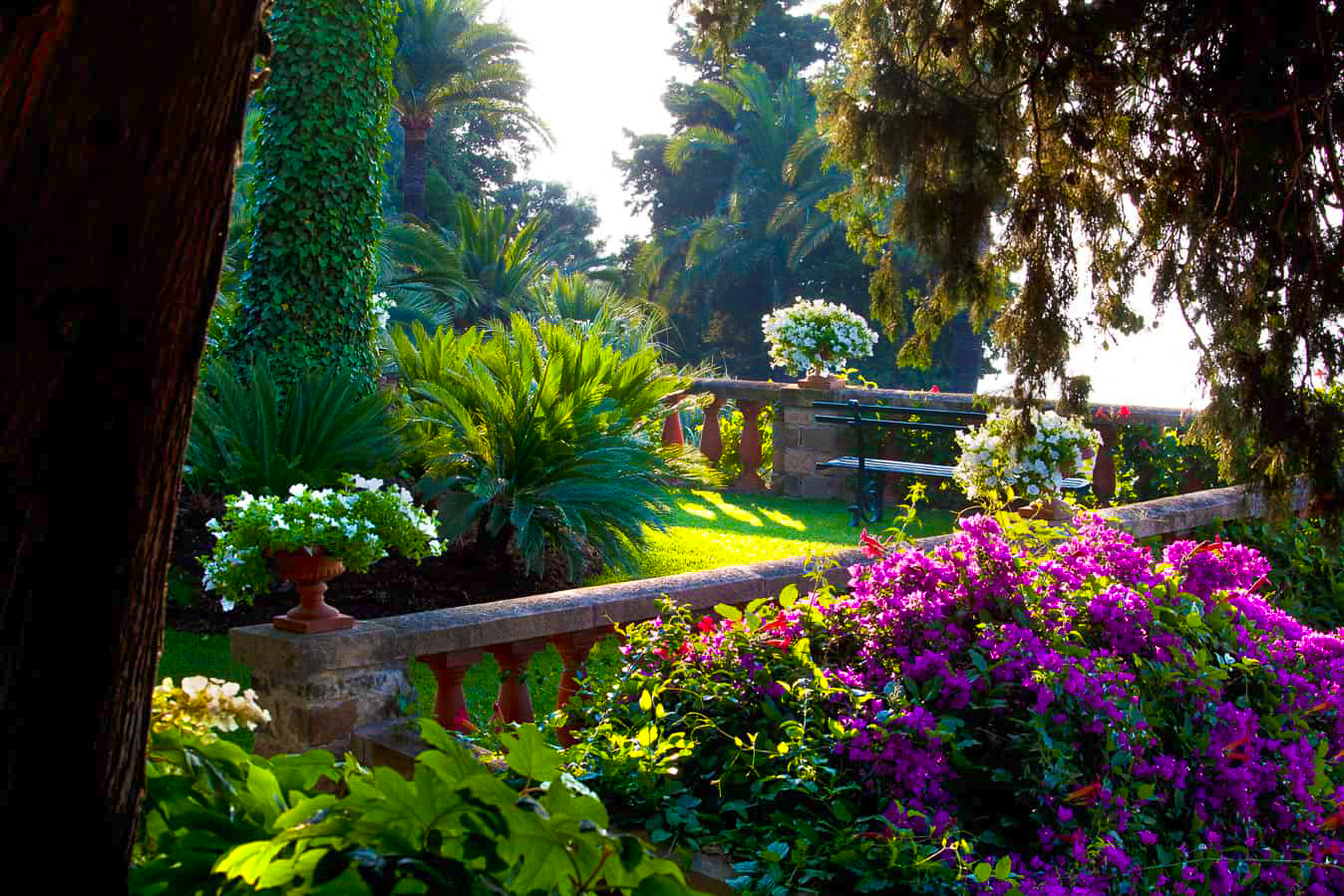 Belle Epoque Garden Villa della Pergola thumbnail