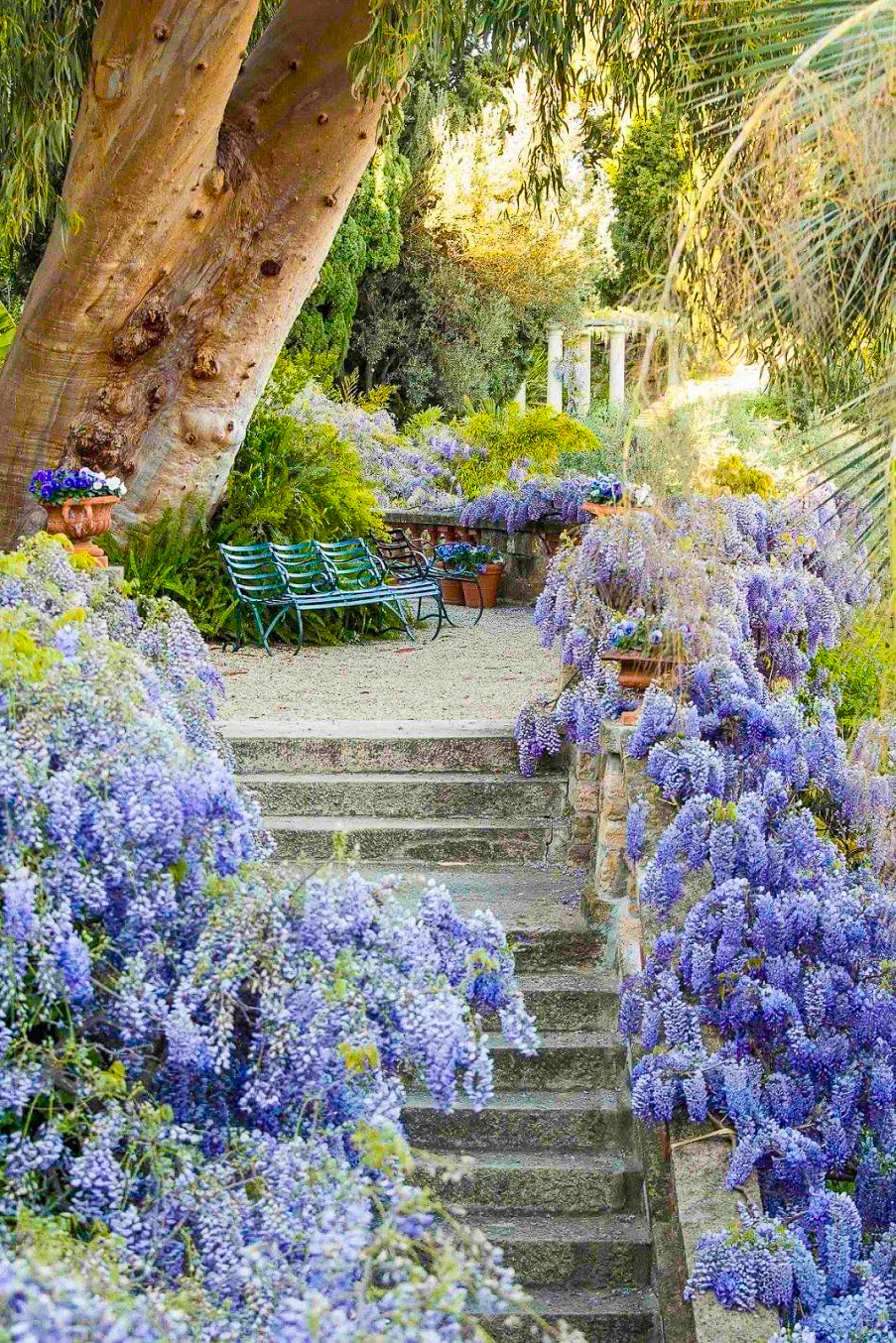 Belle Epoque Garden Villa della Pergola thumbnail