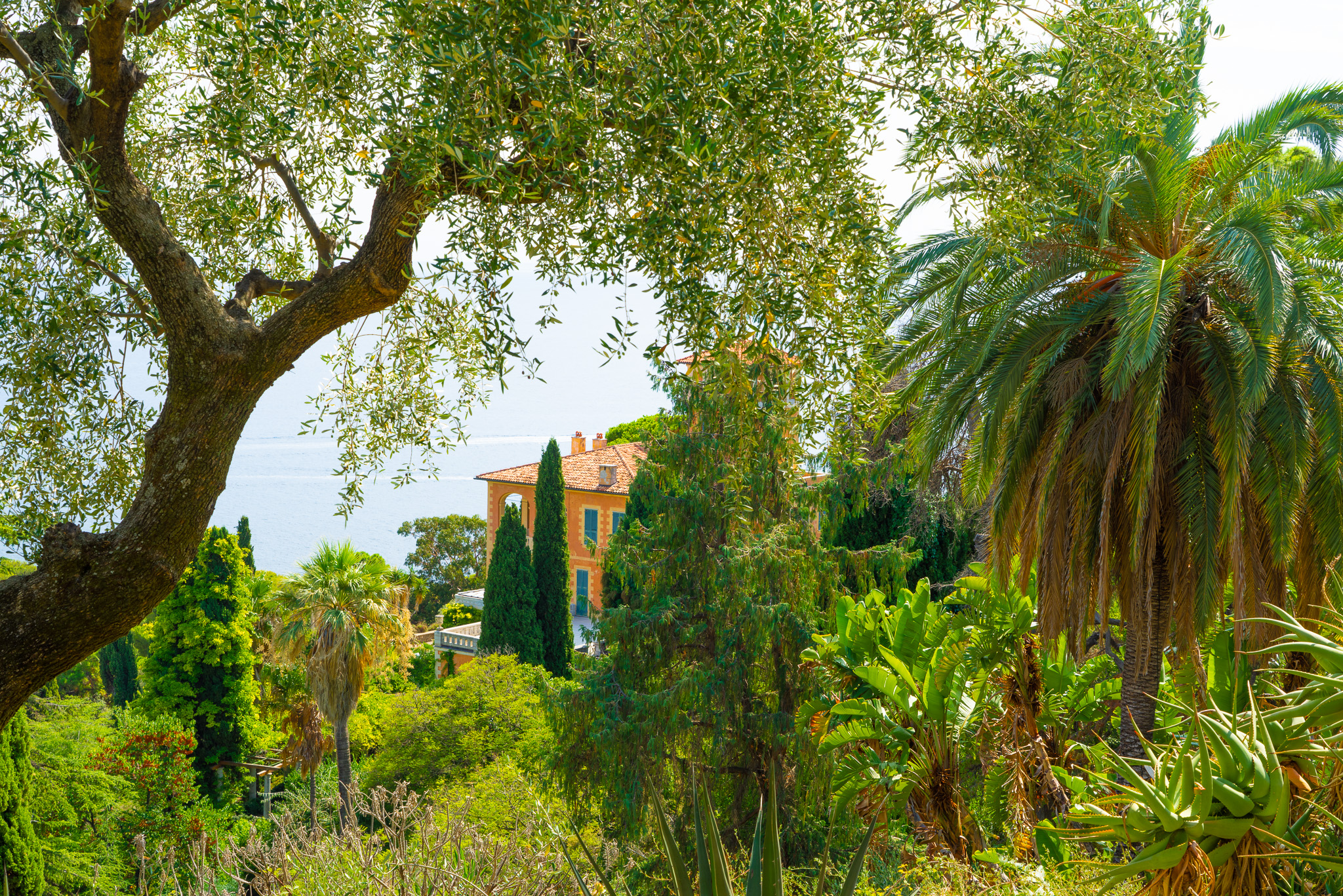 Villa Hanbury & Gardens thumbnail