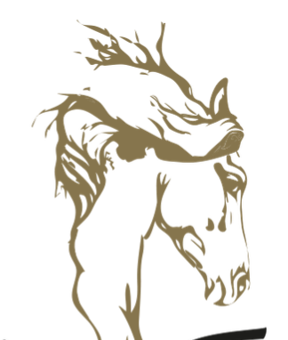 Sandra's Homepage thumbnail