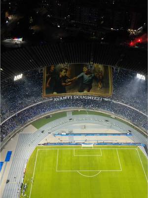 AVANTI SCUGNIZZI! 🩵 #AG4AIN #sscnapoli #scudettonapoli #striscione #serieatim #scudetto #sscnapoli1926 #conte #napoli #n