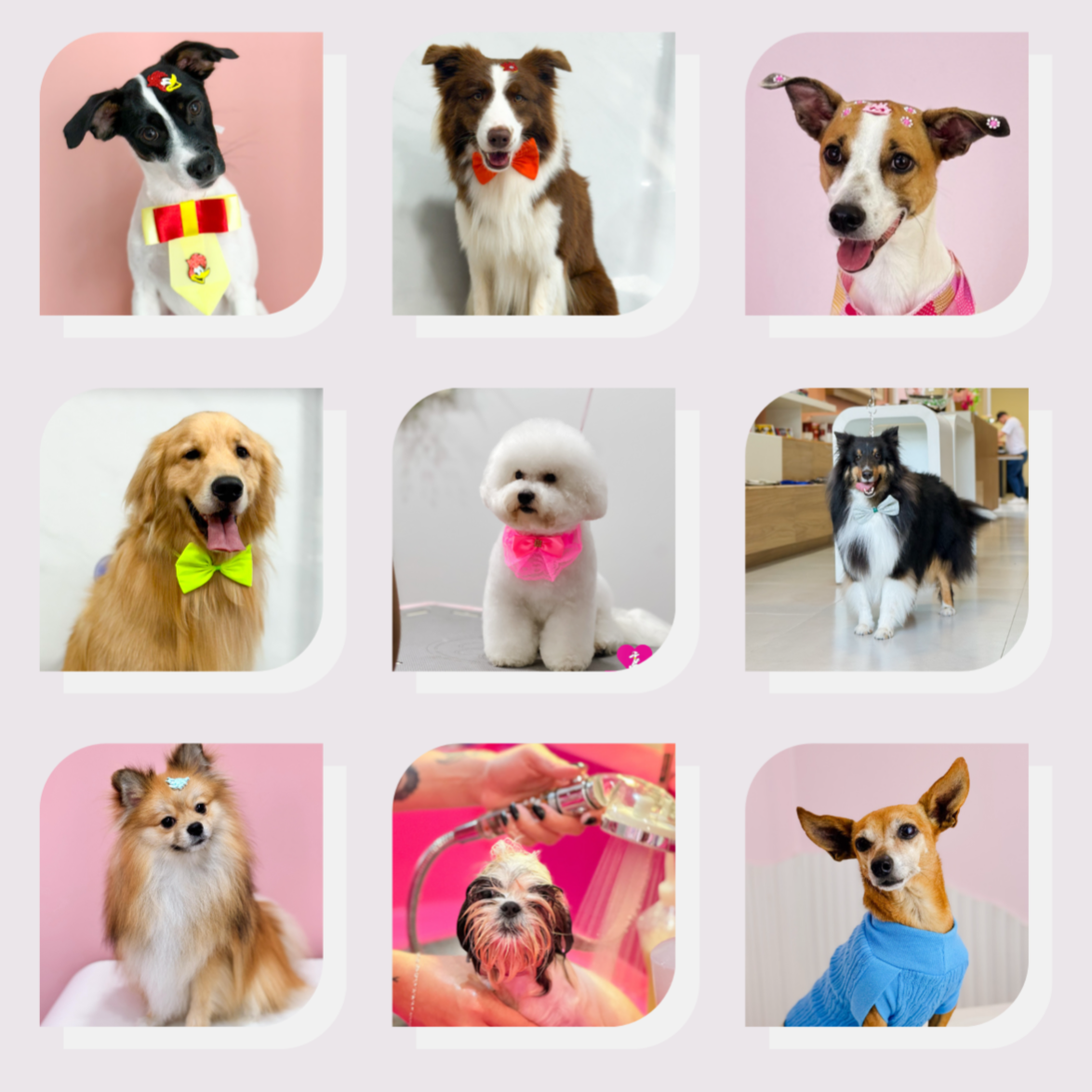 PORTOFÓLIO thumbnail