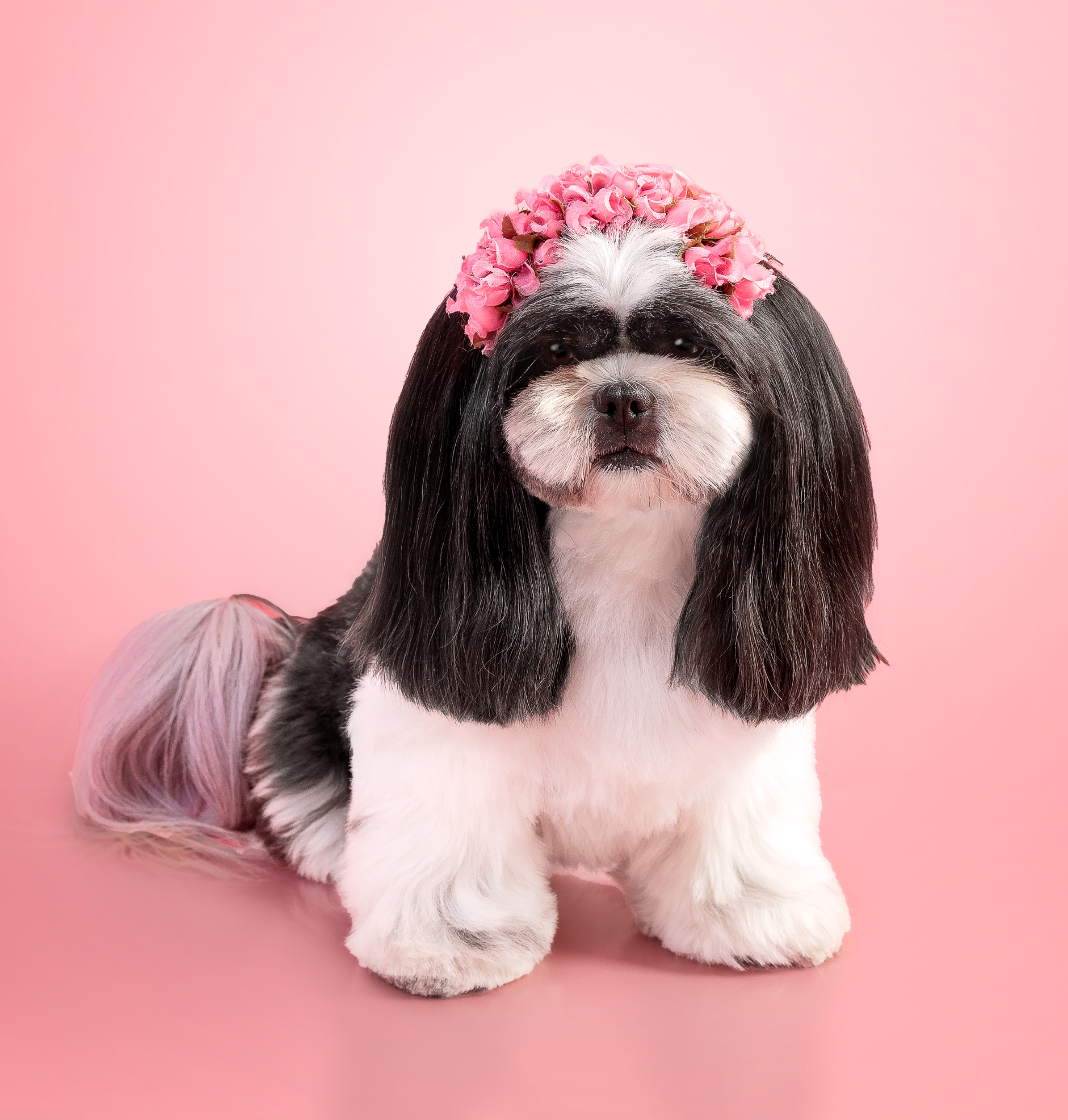 📲 UNIDADE TRUJILLO   thumbnail