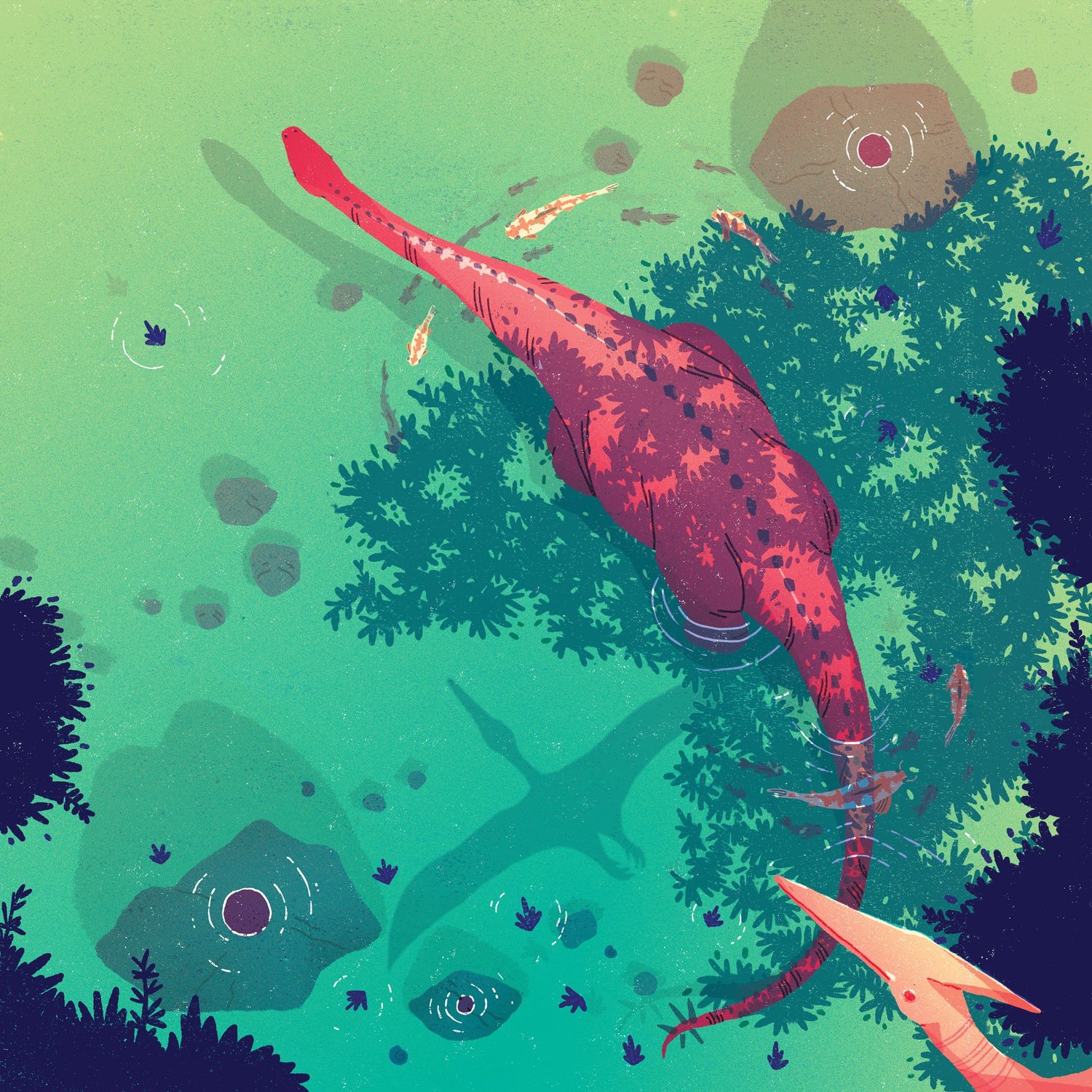 Portfolio - Clémence Dupont Illustration  thumbnail