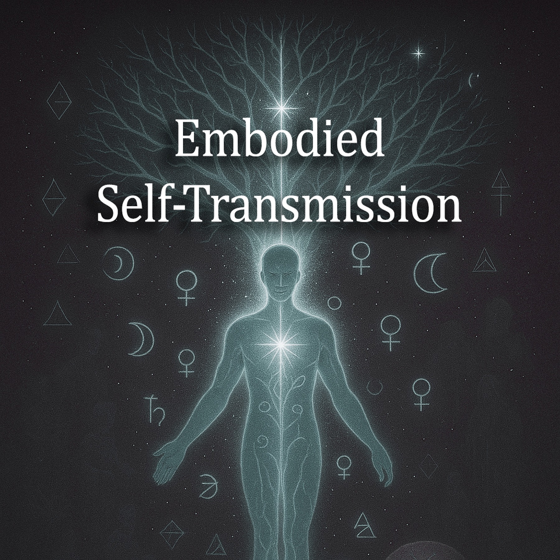Embodied Self-Transmission  thumbnail