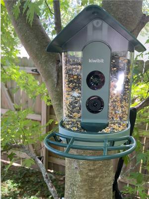 #kiwibit #kiwibitbeako #smartbirdfeeder #bird #birdwatching 