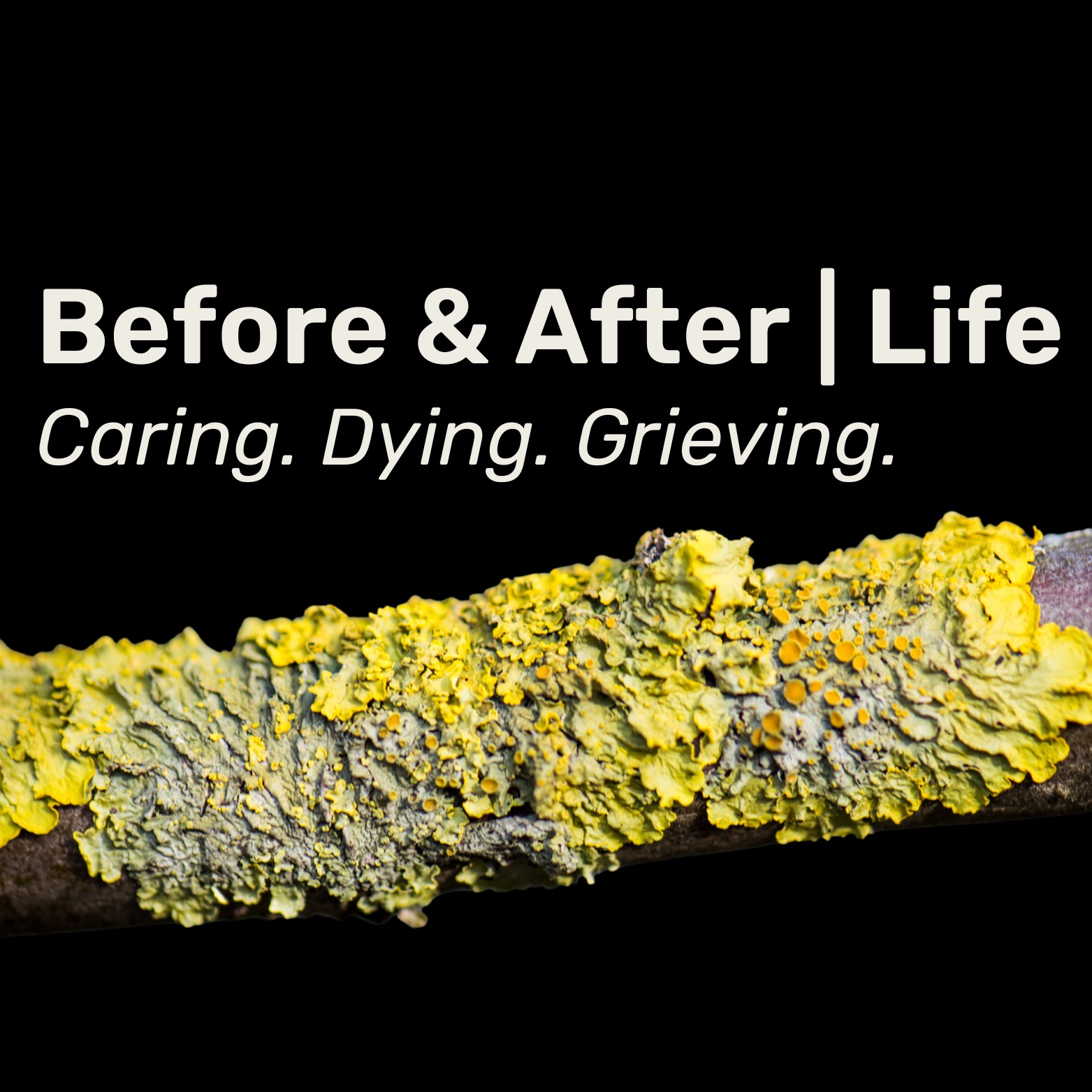 Before & After Life | Caring, Dying, Grieving for people, communities, workplaces thumbnail